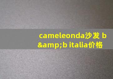 cameleonda沙发 b&b italia价格